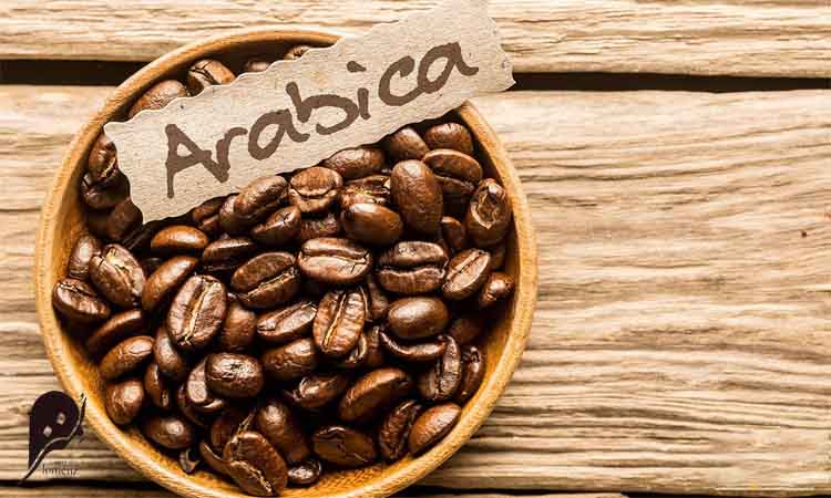انواع قهوه و طرز تهیه آن 2 قهوه عربیکا