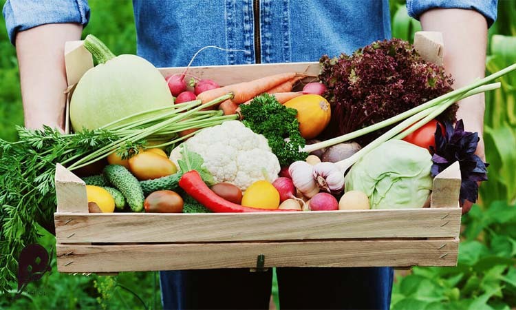 چرا باید از مواد ارگانیک در رژیم غذایی استفاده کنیم؟ 3 تقویت سیستم ایمنی بدن با مواد غذایی ارگانیک