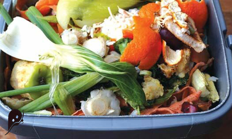 بازیافت در رستوران یا کاهش پسماند غذایی رستوران 3 مدیریت کاهش پسماند غذایی رستوران