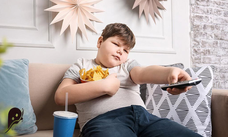 اصول مصرف فست فود 2 تأثیرات فست فود بر بدن