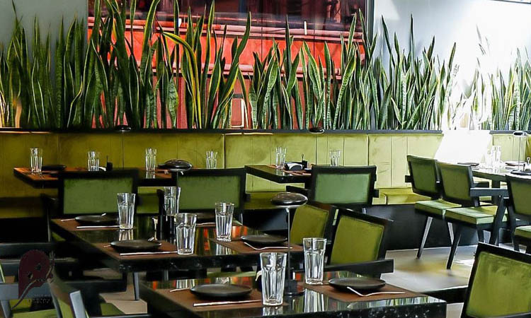 بهترین رستوران های دریایی در تهران 2 لمنز رستوران از بهترین رستوران های دریایی در تهران